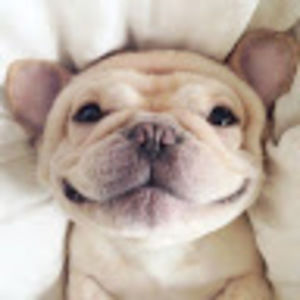 Meet your Posher, Yvonne